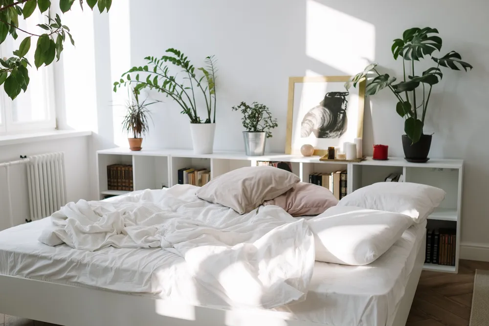 A bed with white bedding and pillows piled against the headboard in a bright bedroom.