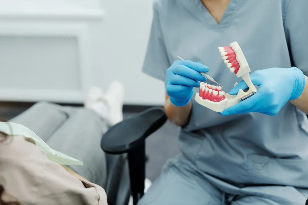A dentist in blue scrubs and gloves holding a hinged model of the upper and lower jaw beside a reclined patient.