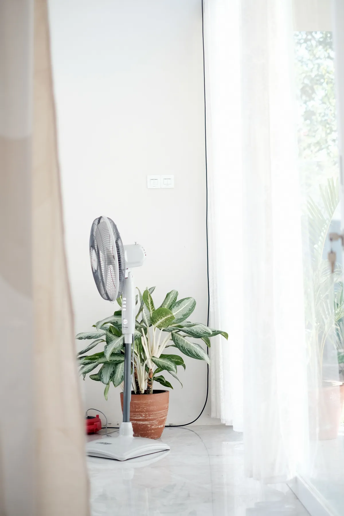 A white standing fan beside a leafy plant in a bright, airy room — staying cool through menopausal night sweats.